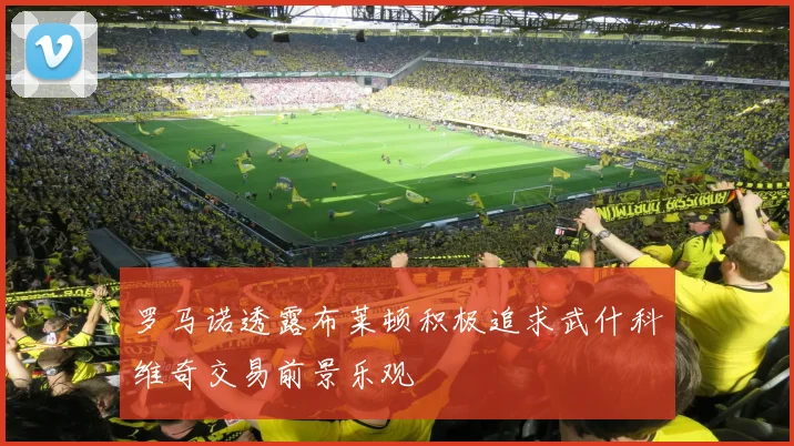 罗马诺透露布莱顿积极追求武什科维奇交易前景乐观